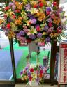 tHgM[摜