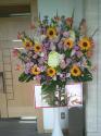 �t�H�g�M�������[�摜