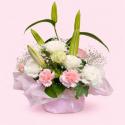 �t�H�g�M�������[�摜