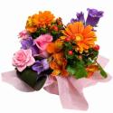 �t�H�g�M�������[�摜