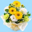 �t�H�g�M�������[�摜