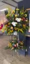 �t�H�g�M�������[�摜