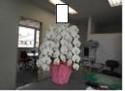 �t�H�g�M�������[�摜