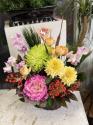 �t�H�g�M�������[�摜