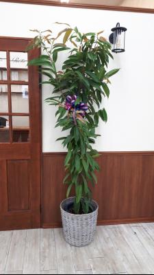新潟県新潟市 西区の花屋 鈴木生花店 をご紹介 フラワーギフトはプロのお花屋さんにおまかせ フジテレビフラワーネット