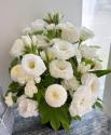�t�H�g�M�������[�摜
