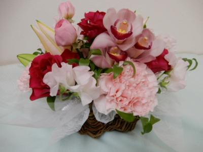 新潟県新発田市の花屋 フラワースタジオ ブルー をご紹介 フラワーギフトはプロのお花屋さんにおまかせ フジテレビフラワーネット