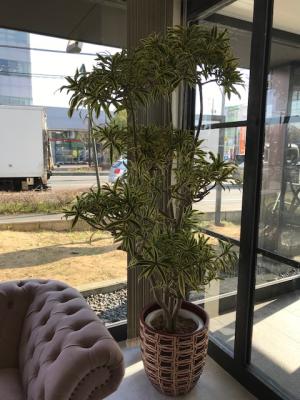 長野県長野市の花屋 橋本生花店 をご紹介 フラワーギフトはプロのお花屋さんにおまかせ フジテレビフラワーネット