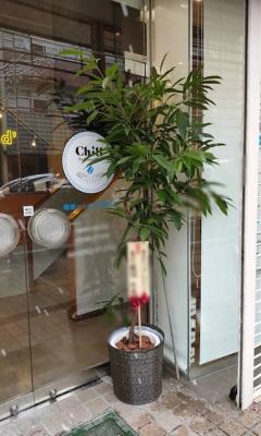 長野県長野市の花屋 橋本生花店 をご紹介 フラワーギフトはプロのお花屋さんにおまかせ フジテレビフラワーネット