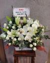 tHgM[摜
