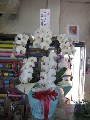 長野県佐久市の花屋 信濃植物園 をご紹介 フラワーギフトはプロのお花屋さんにおまかせ フジテレビフラワーネット 長野県佐久市の花屋 信濃植物園 をご紹介 フラワーギフトはプロのお花屋さんにおまかせ フジテレビフラワーネット