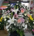 tHgM[摜