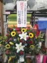 tHgM[摜