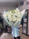 �t�H�g�M�������[�摜