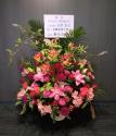tHgM[摜