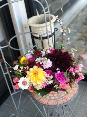 長野県諏訪市の花屋 有 ファンシーフラワー をご紹介 フラワーギフトはプロのお花屋さんにおまかせ フジテレビフラワーネット
