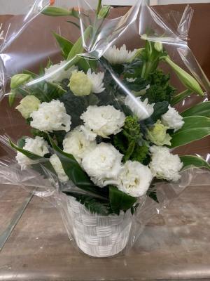 長野県伊那市の花屋 有 フラワーピース南信州サンスイ をご紹介 フラワーギフトはプロのお花屋さんにおまかせ フジテレビフラワーネット 長野県伊那市の花屋 有 フラワーピース南信州サンスイ をご紹介 フラワーギフトはプロのお花屋さんにおまかせ フジテレビフラワーネット