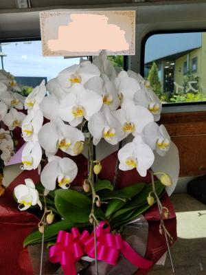 長野県伊那市の花屋 有 フラワーピース南信州サンスイ をご紹介 フラワーギフトはプロのお花屋さんにおまかせ フジテレビフラワーネット 長野県伊那市の花屋 有 フラワーピース南信州サンスイ をご紹介 フラワーギフトはプロのお花屋さんにおまかせ フジテレビフラワーネット
