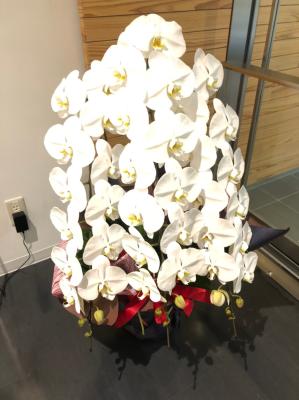 長野県大町市の花屋 ナガサワ フローリスト をご紹介 フラワーギフトはプロのお花屋さんにおまかせ フジテレビフラワーネット 長野県大町市の花屋 ナガサワ フローリスト をご紹介 フラワーギフトはプロのお花屋さんにおまかせ フジテレビフラワーネット