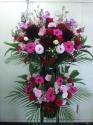 �t�H�g�M�������[�摜