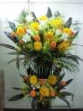�t�H�g�M�������[�摜