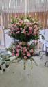 �t�H�g�M�������[�摜