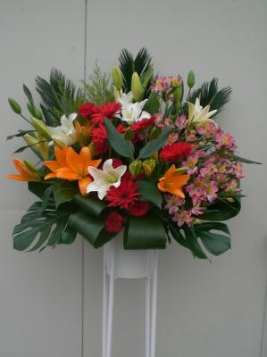 栃木県日光市の花屋 有 ひこフラワー をご紹介 フラワーギフトはプロのお花屋さんにおまかせ フジテレビフラワーネット 栃木県日光市の花屋 有 ひこフラワー をご紹介 フラワーギフトはプロのお花屋さんにおまかせ フジテレビフラワーネット
