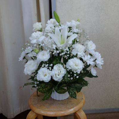 栃木県小山市の花屋 オリーブ をご紹介 フラワーギフトはプロのお花屋さんにおまかせ フジテレビフラワーネット