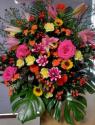 �t�H�g�M�������[�摜