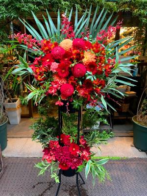東京都千代田区の花屋 ｈａｎａｔｏｓｈｉ をご紹介 フラワーギフトはプロのお花屋さんにおまかせ フジテレビフラワーネット