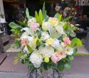 �t�H�g�M�������[�摜