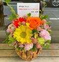 �t�H�g�M�������[�摜
