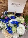 tHgM[摜