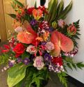 �t�H�g�M�������[�摜