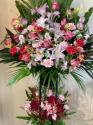 �t�H�g�M�������[�摜