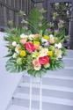 �t�H�g�M�������[�摜