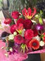 �t�H�g�M�������[�摜