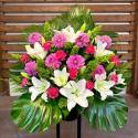 �t�H�g�M�������[�摜