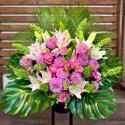 �t�H�g�M�������[�摜