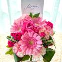 �t�H�g�M�������[�摜