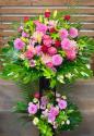 �t�H�g�M�������[�摜