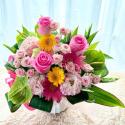 �t�H�g�M�������[�摜