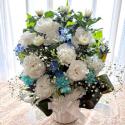 �t�H�g�M�������[�摜