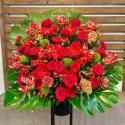 �t�H�g�M�������[�摜