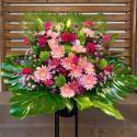 �t�H�g�M�������[�摜