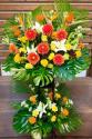 �t�H�g�M�������[�摜