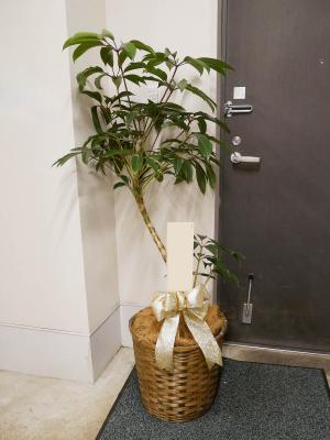 東京都目黒区の花屋 株 フラワーメッセージお花屋さん をご紹介 フラワーギフトはプロのお花屋さんにおまかせ フジテレビフラワーネット