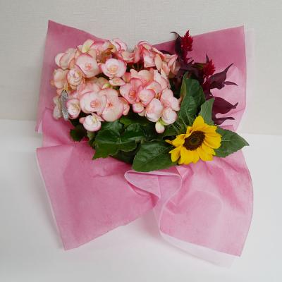 東京都目黒区の花屋 株 フラワーメッセージお花屋さん をご紹介 フラワーギフトはプロのお花屋さんにおまかせ フジテレビフラワーネット