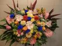 �t�H�g�M�������[�摜