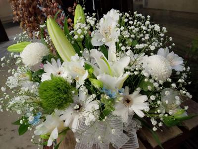 東京都世田谷区の花屋 ちとせフラワー をご紹介 フラワーギフトはプロのお花屋さんにおまかせ フジテレビフラワーネット